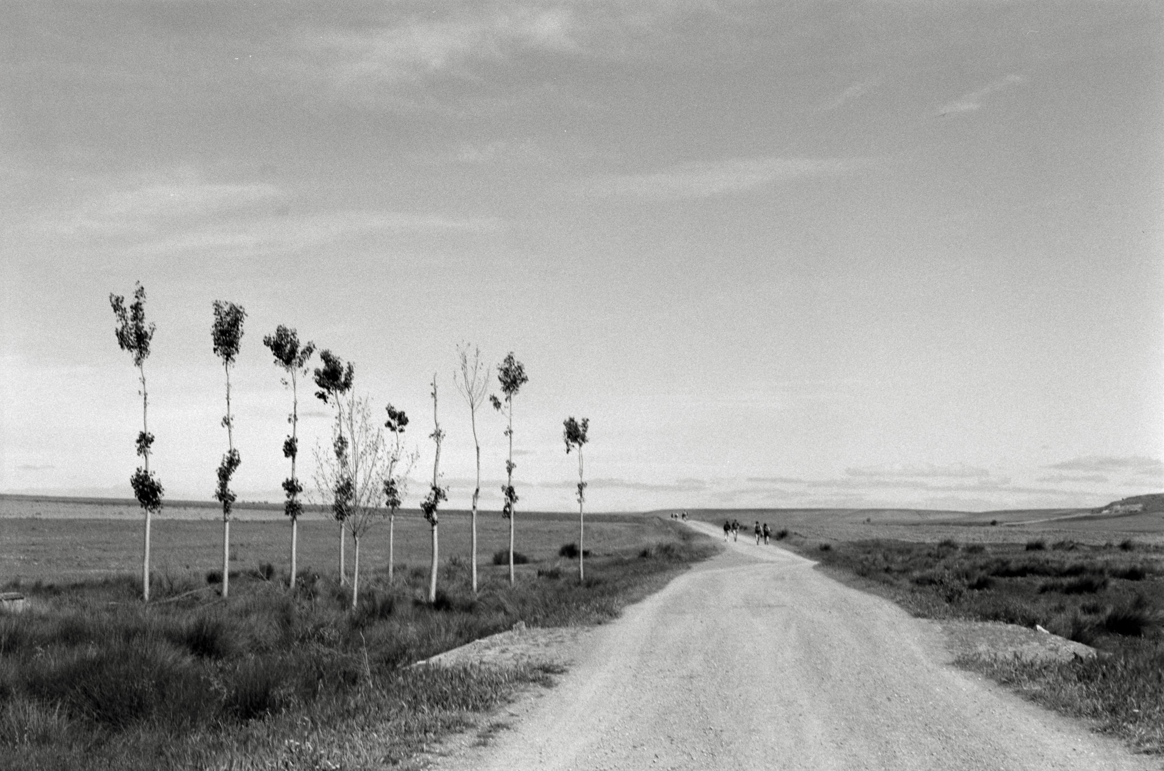 AHP F1995 05 009 sc240826 img12 NLP